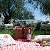 Bodega Alta Vista-Have a Picnic in the Altavista´s  vineyard 
