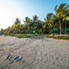 La Tortuga Verde-Eco Hotel turtle sanctuary 