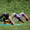 Ashtanga Yoga Peru-Ashtanga Yoga Classes: Mysore Style
