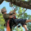 Tropical Tree Climbing-Full Day Tree Climbing in the Amazon Rainforest