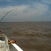 Unicotrip-Full day fishing trip on the River Paraná