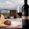 Bodegas Septima-A restaurante with a view of The Andes