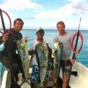 Spearfishing Today-Aprende a pescar con Arpón de los Expertos de Cozumel 