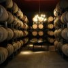 Bodega Tapiz-Tour guide for experts in Wine Warehouse