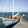 Sirena Azul Sailing-Sail and snorkel on the traditional Belizean sailboat Sirena Azul 