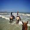 Hacienda Macanao-Cabalga en paisajes caribeños