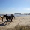 Argentina Horse Adventures-Equestrian Day in Argentina