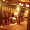 Bus Turistico Montevideo-Tour de Bodegas & Viñedos en Montevideo