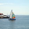 Bocas Del Toro Sailing-Sailing and Dolphin Adventure in the Caribbean