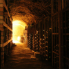 Bus Turistico Montevideo-Tour de Bodegas & Viñedos en Montevideo