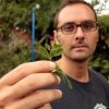 Caoba Farms-Conoce una granja orgánica y autosostenible en Antigua