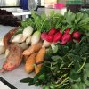 Caoba Farms-Conoce una granja orgánica y autosostenible en Antigua