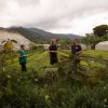Caoba Farms-Conoce una granja orgánica y autosostenible en Antigua