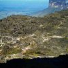 Coati Trekking- Trekking to the Plateau Chirikayen Tepui in Venezuela