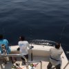 Parlama Sport Fishing-1 día de pesca deportiva en las aguas del Pacífico 