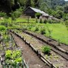 Santuario Natural El Tular-An ecological hotel to get away from the city life