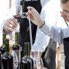 Santa Rita-Aprende y siéntete como un enólogo haciendo tu propio vino en los viñedos de Santa Rita en Santiago de Chile