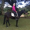 Equestours-3-4 hour horseback riding experience, beginners welcome!