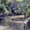 Ecoexperiencias El Salvador-Caiman Crocodile Tour in protected area