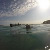 Iguana's Trips-Snorkeling with Green Turtles at the South of Peru