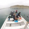 Iguana's Trips-Snorkeling with Green Turtles at the South of Peru