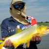 Argentina Anglers-Catch the Golden Dorado in the Paraná River