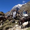 Terra Explorer Peru-Trek one of the most impressive Nevado of the Peruvian Andes