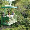 Gamboa Rainforest Resort -Tour Gamboa\'s Rainforest on an Aerial Tram