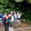 Wildside Nature Tours-Explora por 5 Días el hábitat de Aves Puertoriqueñas 