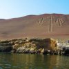 Secrets Of Peru-Islas Ballestas Marine Life Boat Tour