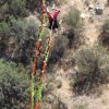 Mundo Dinamo- Bungee Jump over Colorado River 