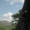 Climbing Venezuela-Climbing the limestone cliffs of Los Morros de San Juan 