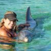 Waterland-swim with Dolphins at Waterland