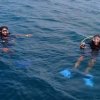Dive Grenada-Snorkel in clear safe and shallow waters