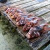 Off The Wall Dive Center & Resort-Fishing along the Island of Belize 