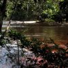Bernal Tours C.a. Venezuela-Boat excursion to the highest waterfall in the world