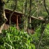 Spa Ixchel-A therapeutic massage in the heart of a coffee forest