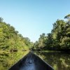 Araguato Expeditions-Jungle tour to the indigenous Warao Jakera