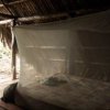 Araguato Expeditions-Jungle tour to the indigenous Warao Jakera