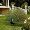 La Mirage Garden Hotel & Spa-Alojamiento de lujo en La Mirage Garden Hotel & Spa