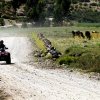 Peru Adventure Tours-Discover The Countryside On 4 Wheels