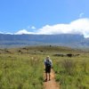Coati Trekking- Trekking to the Plateau Chirikayen Tepui in Venezuela