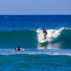 Rincon Surf School-Clases Grupales de Surf con Rincon Surf School