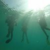 Las Tacas Dive Ressort-First time scuba dive in confined waters