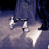 Company Name-Learn how to dance Tango with professional teachers
