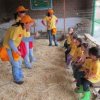 Granja De Tio Pepe- The most animal-filled and fun-learning place