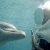 Sea Trek-Travel the wonders of the ocean without getting your head wet at all... 