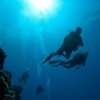 Babieca Dive Center-Completa un Curso de Aguas Abiertas en Quintana Roo