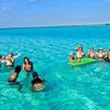 Tigers Adventures-Enjoy a fun snorkeling tour in Riviera Maya, Cozumel
