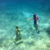 Cozumel Pearl Farm-The Only Active Pearl Farm in The Caribbean